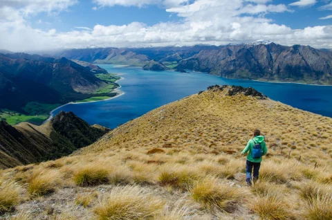 newzealand_hiking